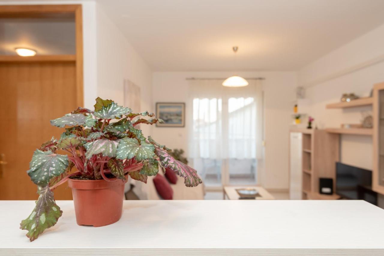 Apartman Valter Zadar Ngoại thất bức ảnh